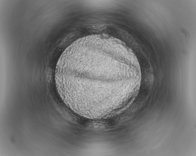 X0000112360758200909031909