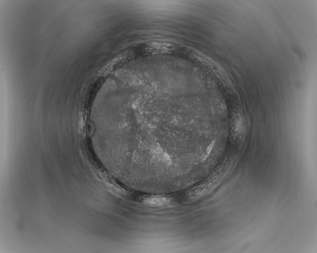 X0000112360759200909031909