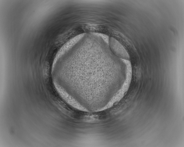 X0000112360760200909031909