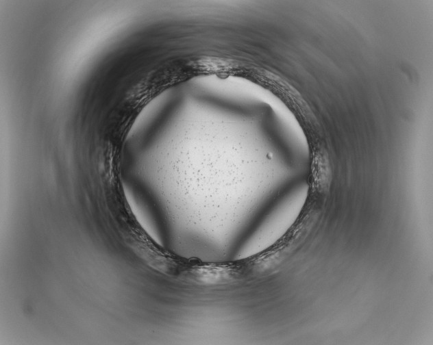 X0000112360762200909031910