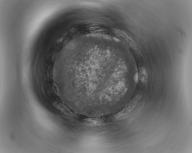 X0000112360763200909031910