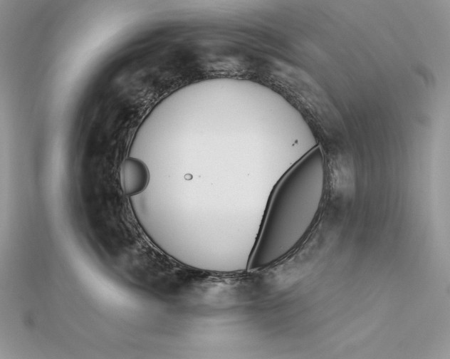 X0000112360764200909031910