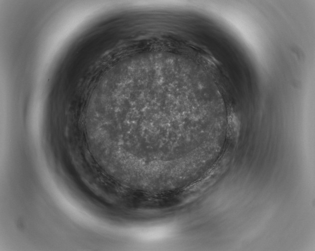 X0000112360765200909031910