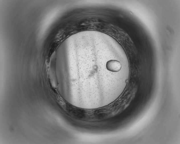 X0000112360766200909031910