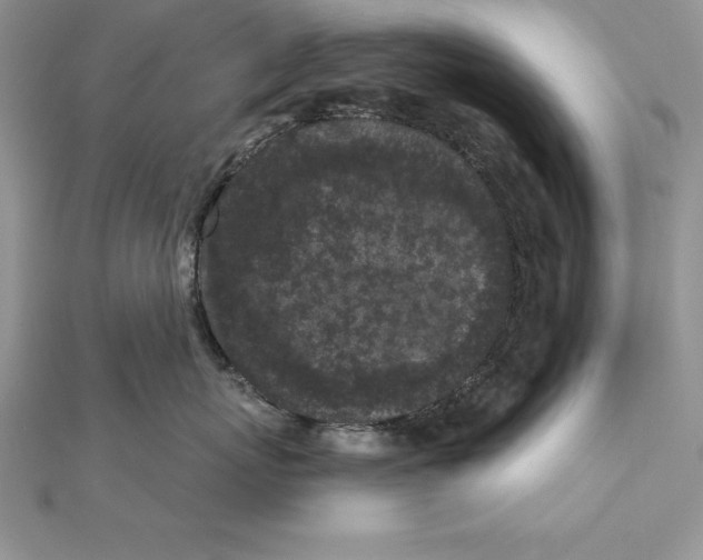 X0000112360767200909031910