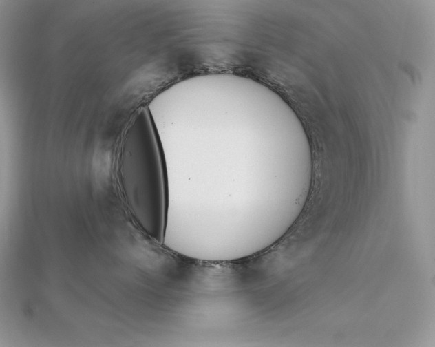 X0000112360768200909031910