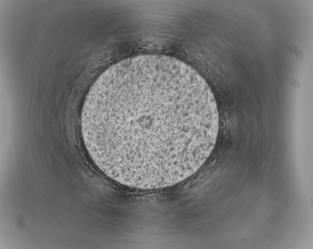 X0000112360769200909031909