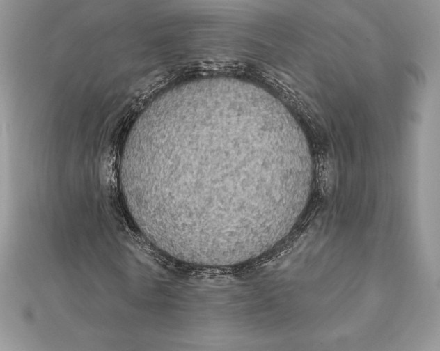 X0000112360770200909031909