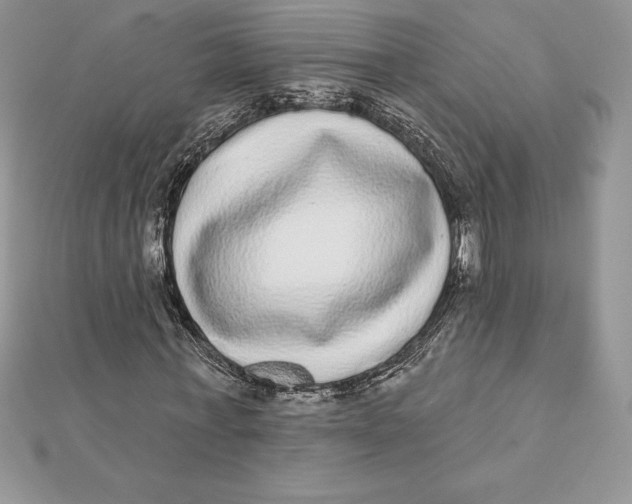 X0000112360771200909031909