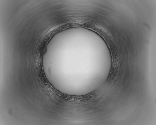 X0000112360773200909031909