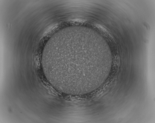 X0000112360774200909031909