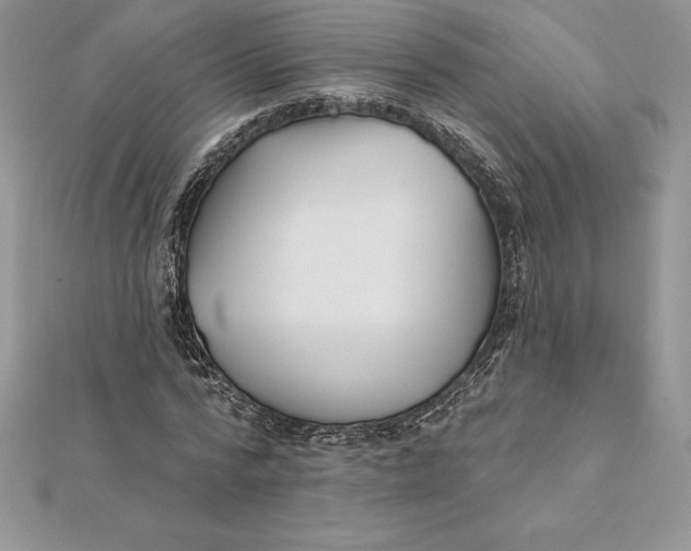 X0000112360776200909031909