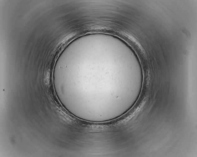 X0000112360777200909031909