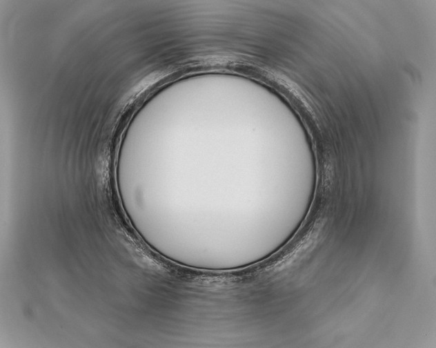 X0000112360778200909031909