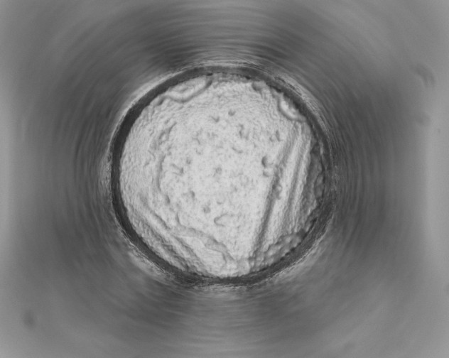 X0000112360779200909031909