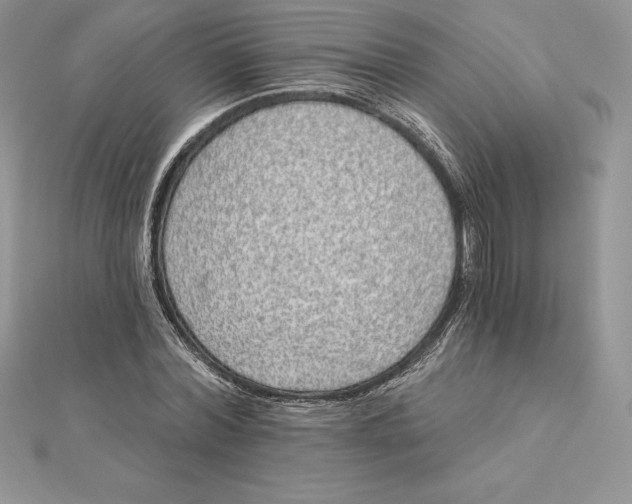 X0000112360780200909031909