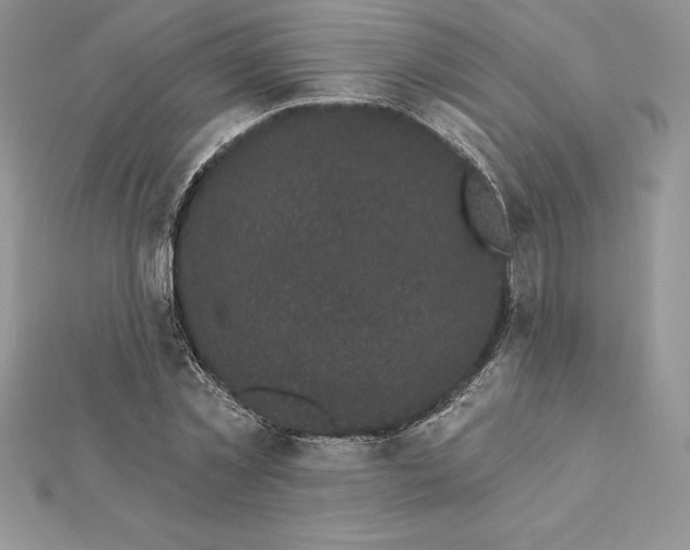 X0000112360781200909031909