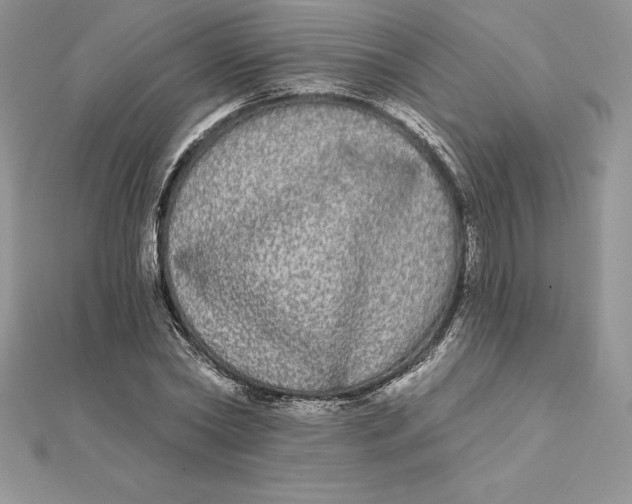 X0000112360782200909031909