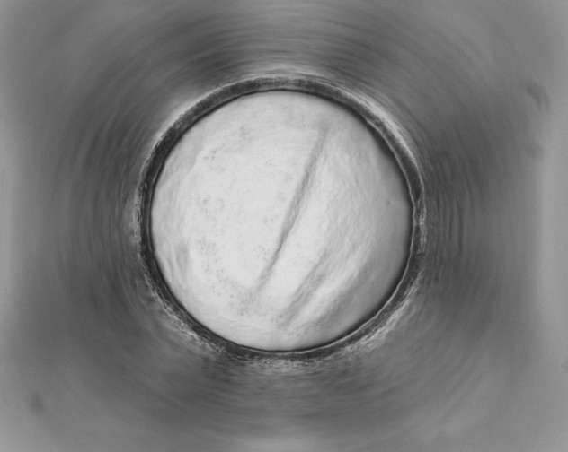 X0000112360783200909031909