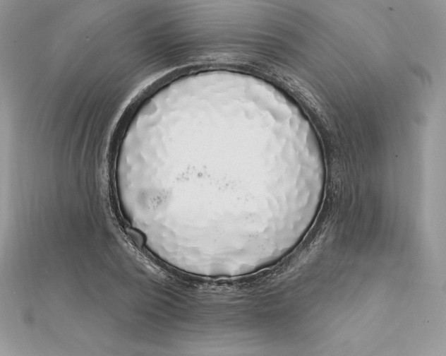 X0000112360784200909031909