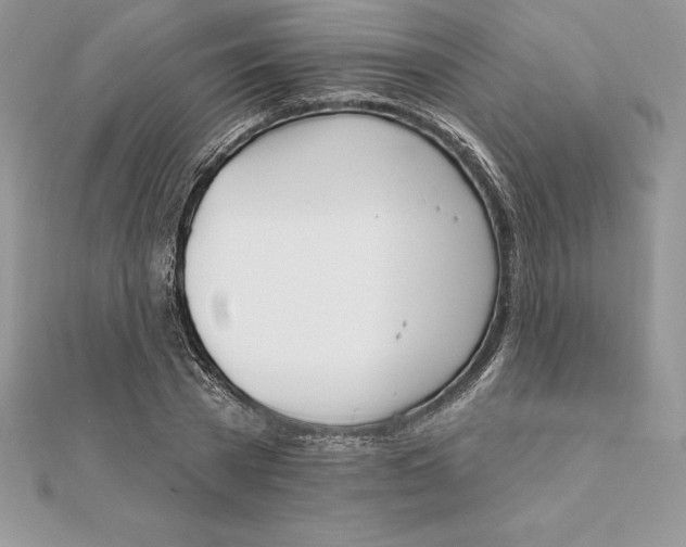 X0000112360785200909031909