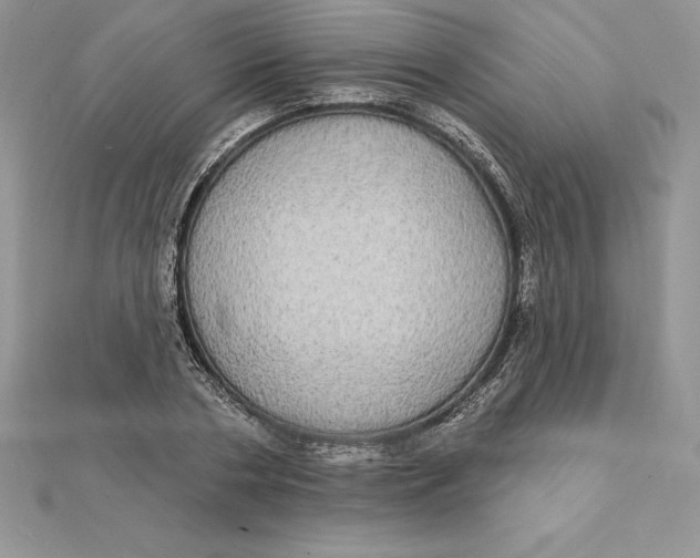 X0000112360786200909031909