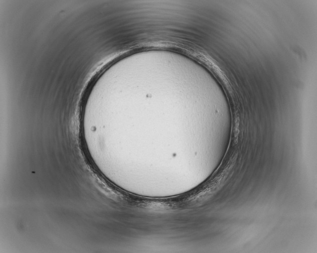 X0000112360787200909031909