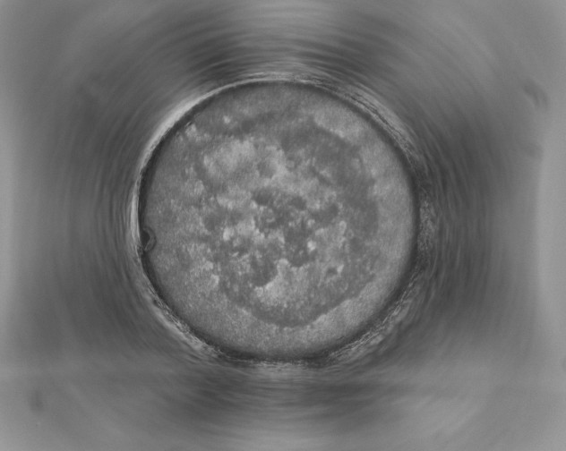 X0000112360788200909031909