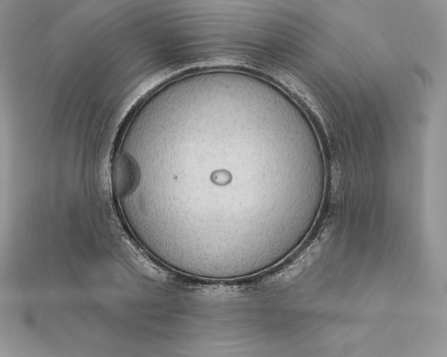 X0000112360789200909031909