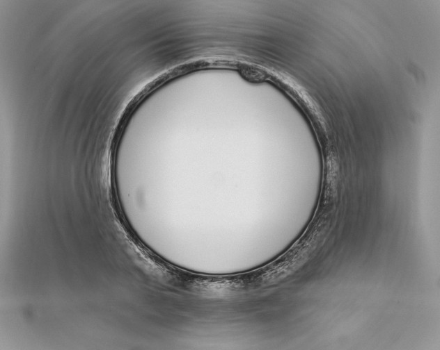 X0000112360791200909031909