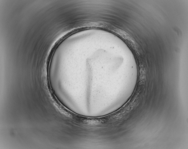 X0000112360792200909031909