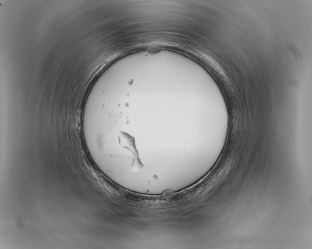 X0000112360793200909031909