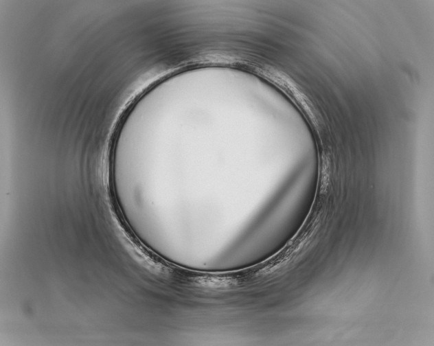 X0000112360795200909031909