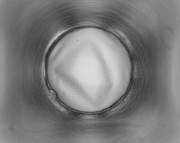 X0000112360796200909031909