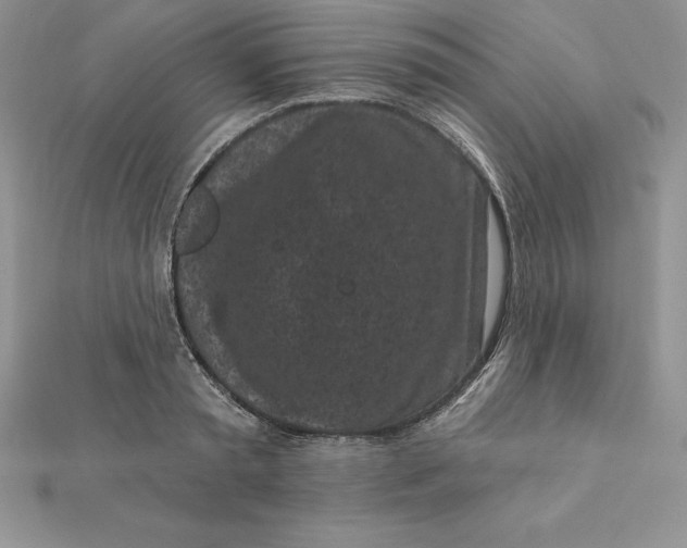 X0000112360797200909031909