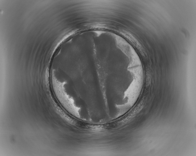 X0000112360798200909031909