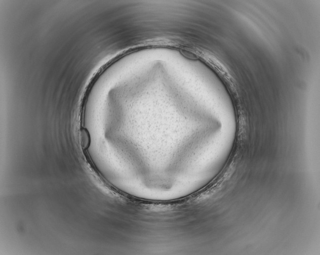 X0000112360800200909031909