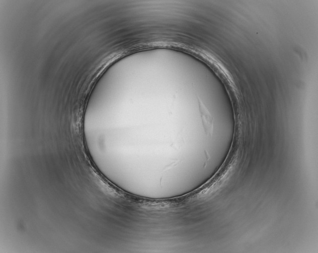 X0000112360801200909031909