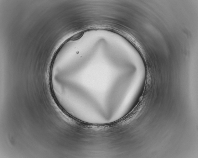 X0000112360803200909031909