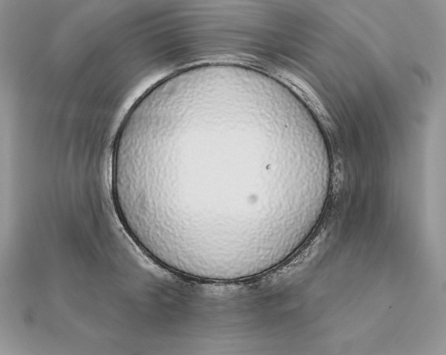 X0000112360804200909031909