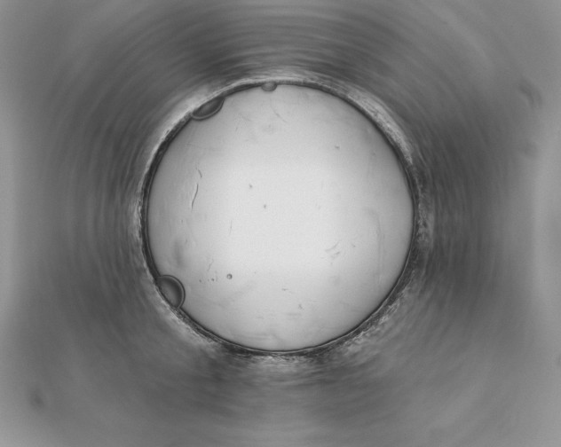 X0000112360805200909031909