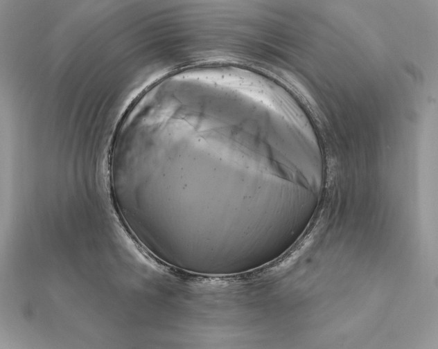 X0000112360806200909031909