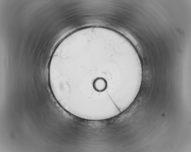 X0000112360807200909031908