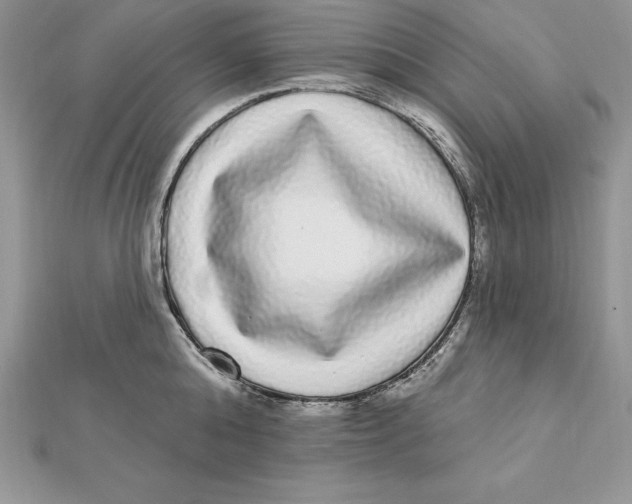 X0000112360808200909031908