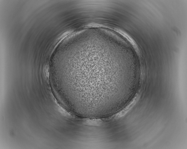 X0000112360809200909031908