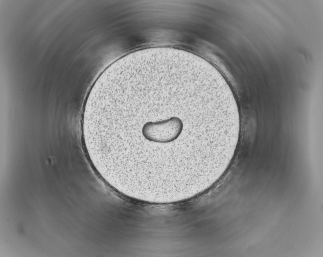 X0000112360810200909031908