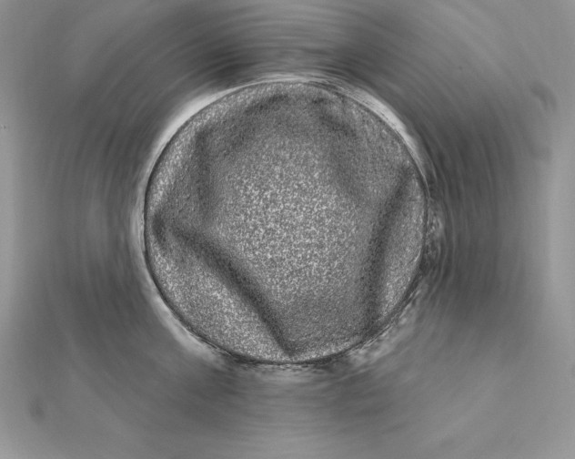 X0000112360811200909031908