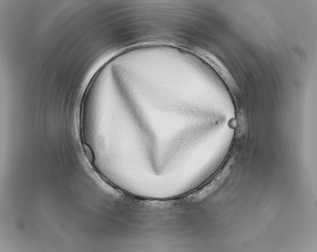 X0000112360812200909031908