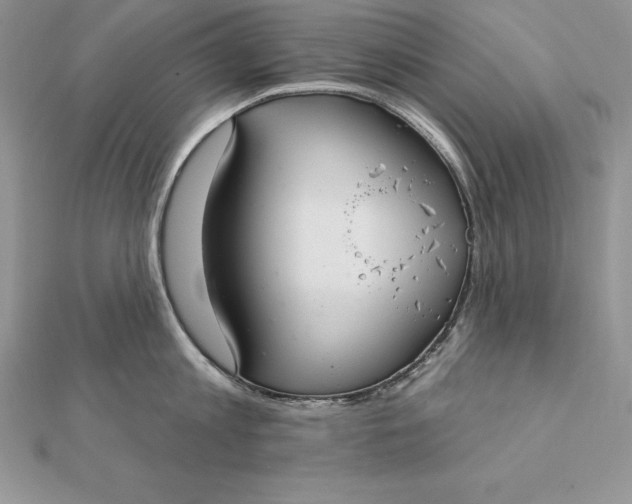 X0000112360813200909031908