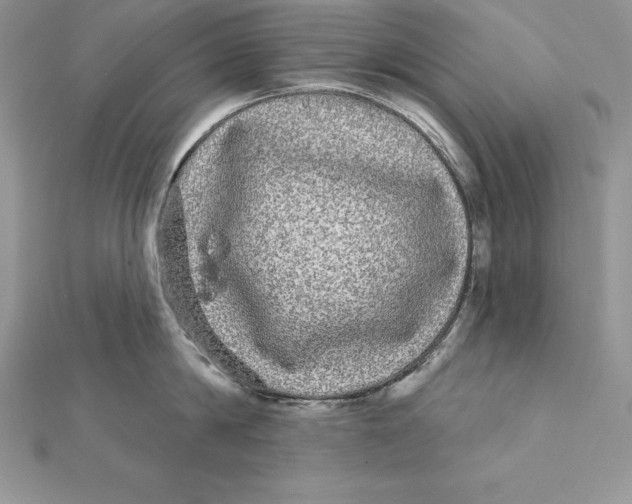 X0000112360814200909031908